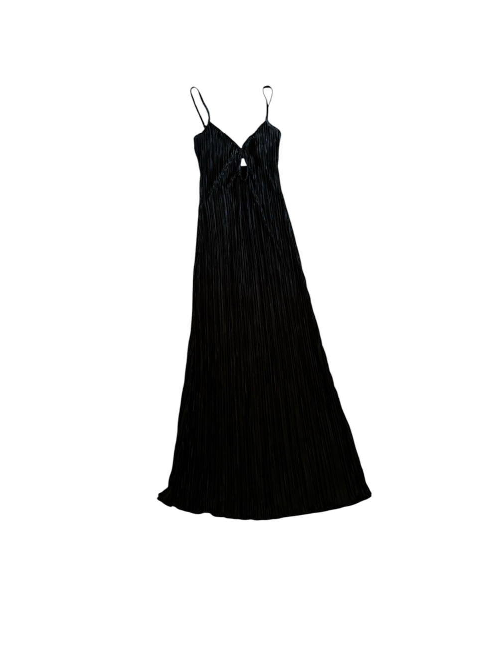 Petal & Pup Black Pleated Maxi Slip Dress